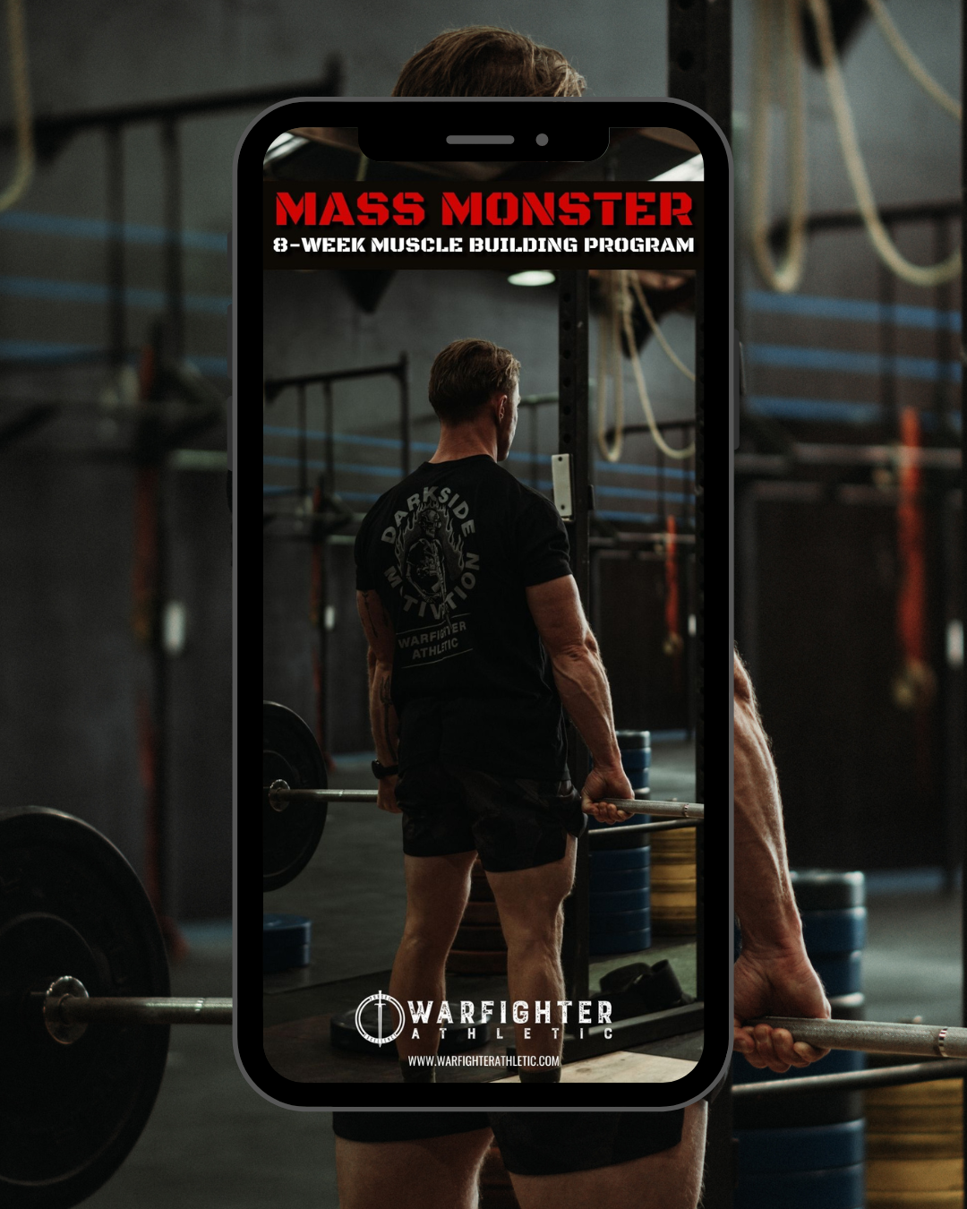 SMART WORKOUT PROGRAMMING BY @musclemonsters _ If youre looking to